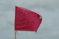 Pink-Cup-2011-019