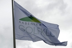 Aabenraa-golfuge-16_2