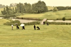 Aabenraa Golfuge 2017