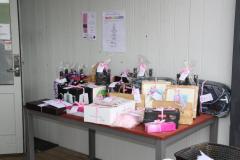 Pink-Cup-2010_12