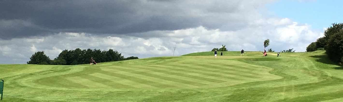 terrasse hektar Bemærkelsesværdig Greenfee - Aabenraa Golfklub